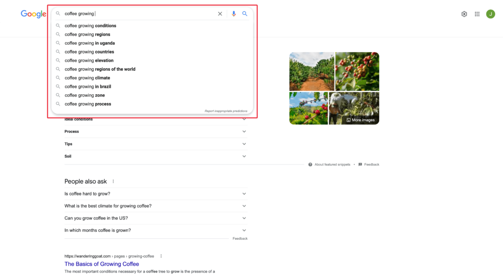 Google's Autocomplete for Coffee Growing