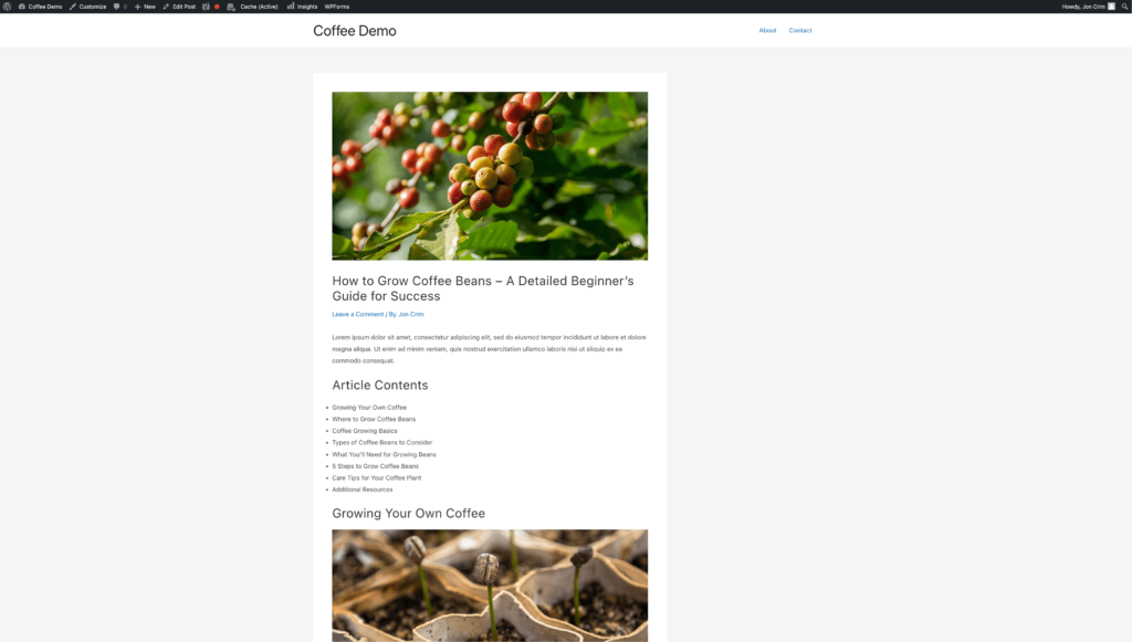 Previewing a WordPress Blog Post with Images