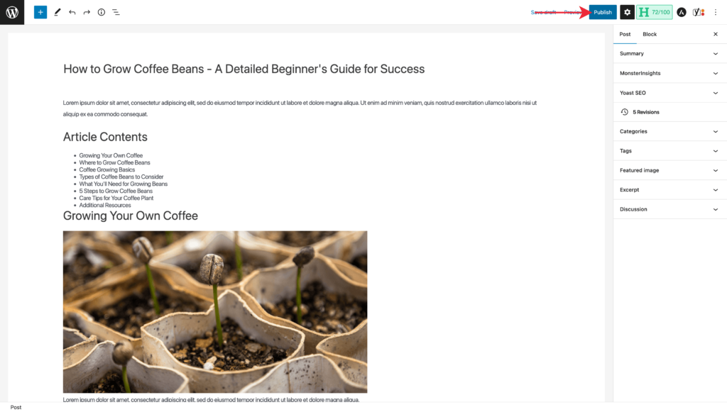 Publishing a WordPress Blog Post